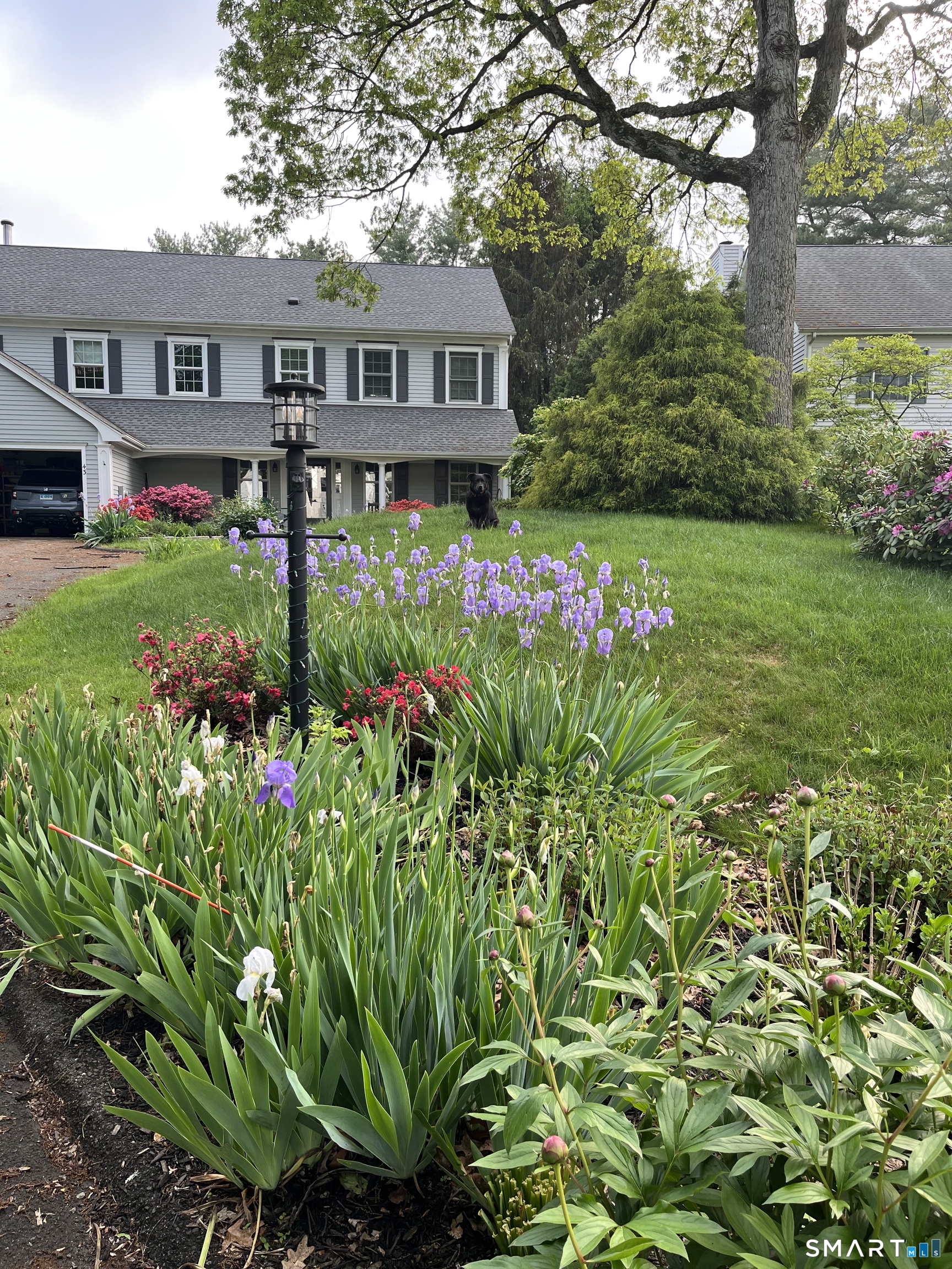 43 Phillips Lane Darien, CT 06820 - Photo 24 of 29 a front view of a house with garden
