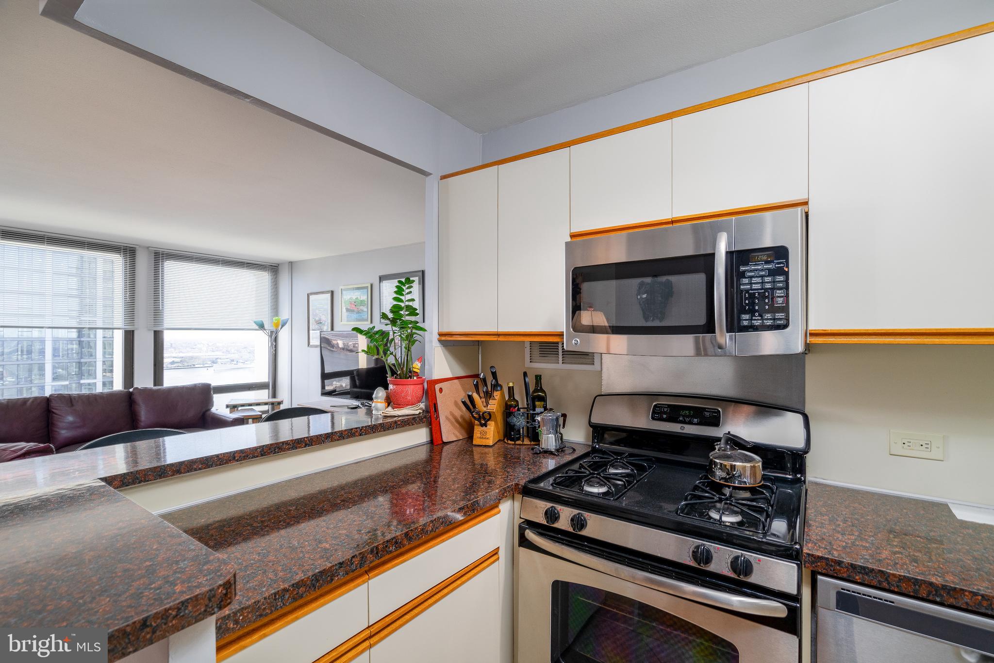 200 Locust Street, Unit 23FN Philadelphia, PA 19106 - Photo 8 of 26