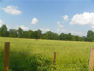 222 Flatwoods Road Nancy, KY 42544 - Photo 4 of 4 Additional Photo