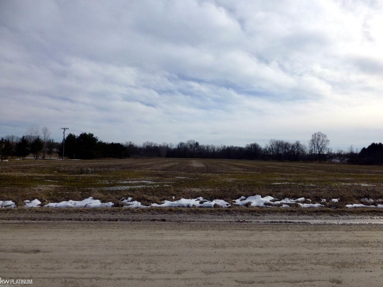 0 Ellsworth Road Columbus, MI 48063 - Photo 3 of 7