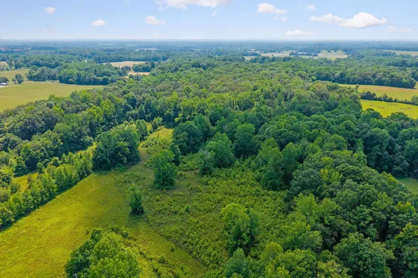 $449,500 | 618 Cash Dollar Road, Walling, TN 38587