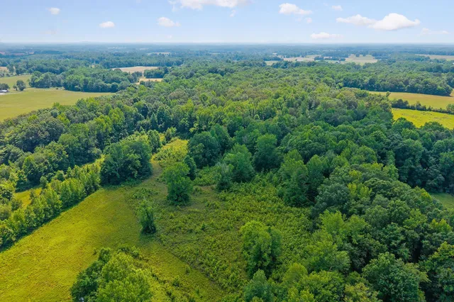 $450,000 | 618 Cash Dollar Road, Walling, TN 38587