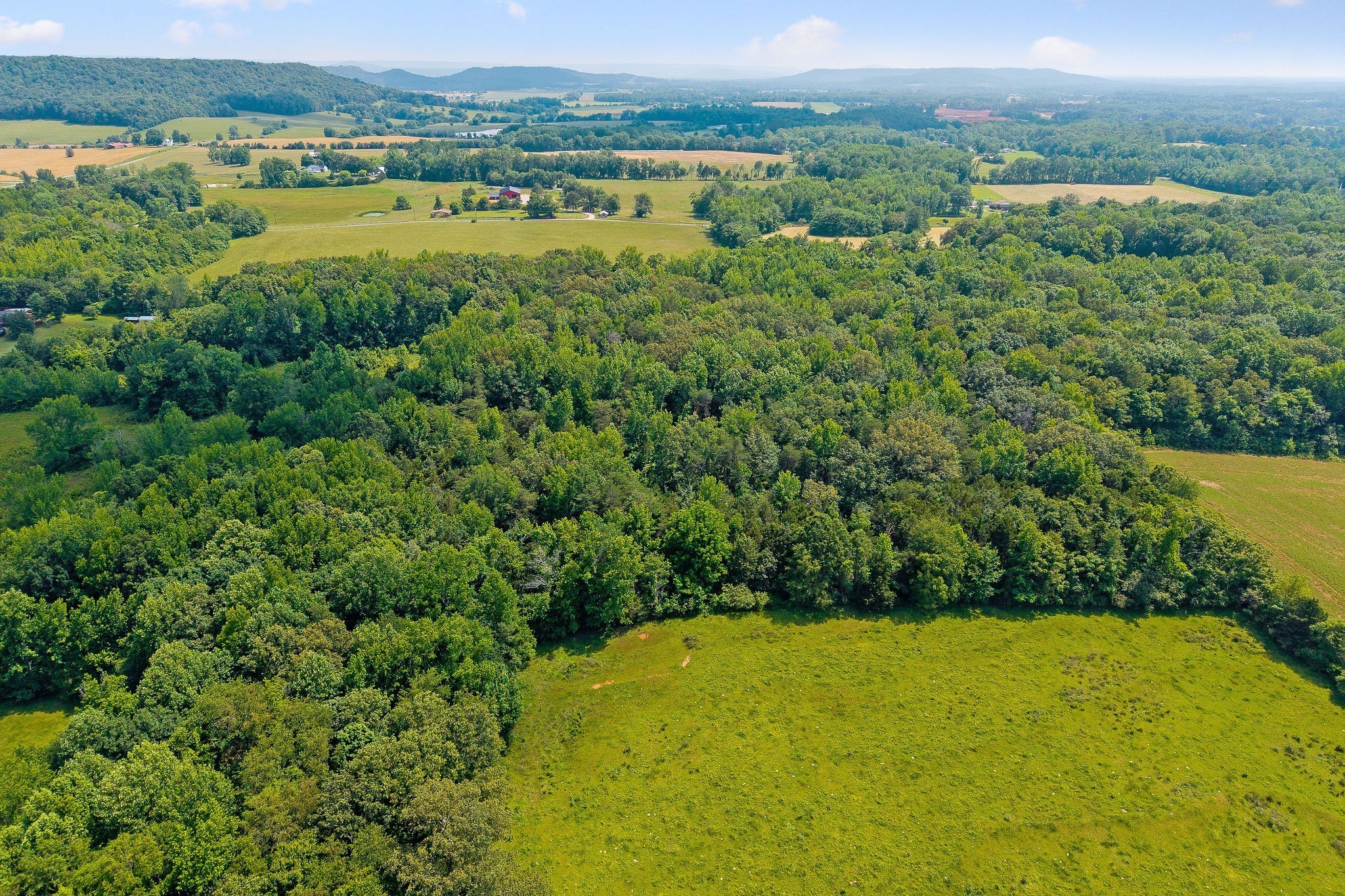 618 Cash Dollar Road Walling, TN 38587 - Photo 55 of 60 a view of a lake with a mountain in the background