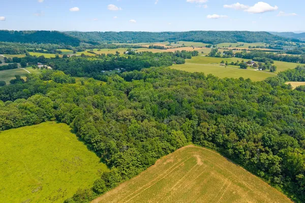 $449,500 | 618 Cash Dollar Road, Walling, TN 38587