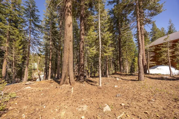 $240,000 | 3216 Slumber Way, Soda Springs, CA 95728
