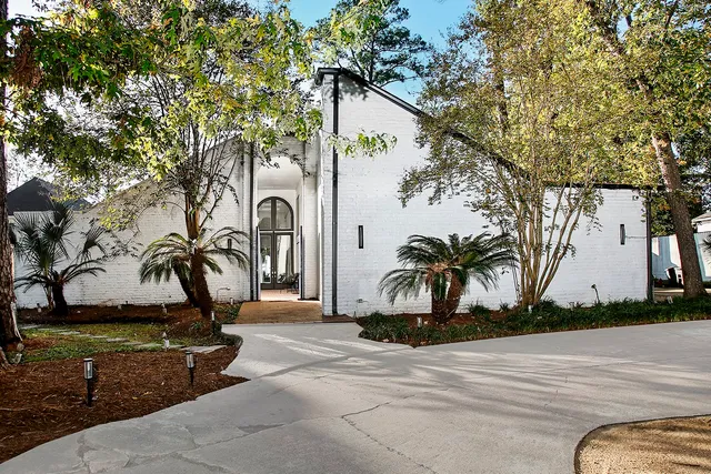 a view of a park with plants and trees