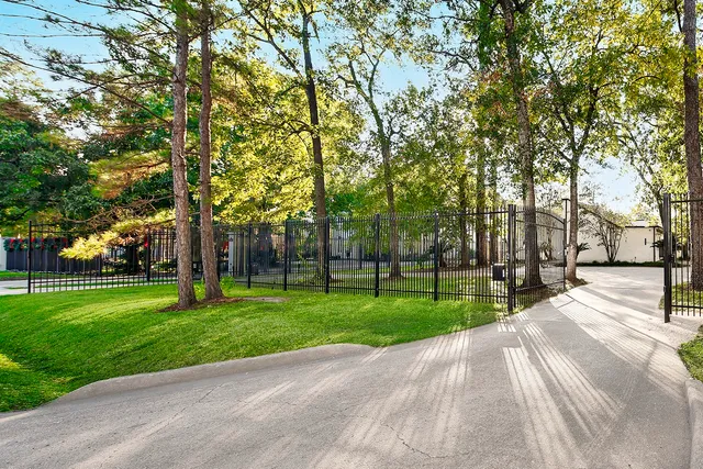 a view of a park with large trees