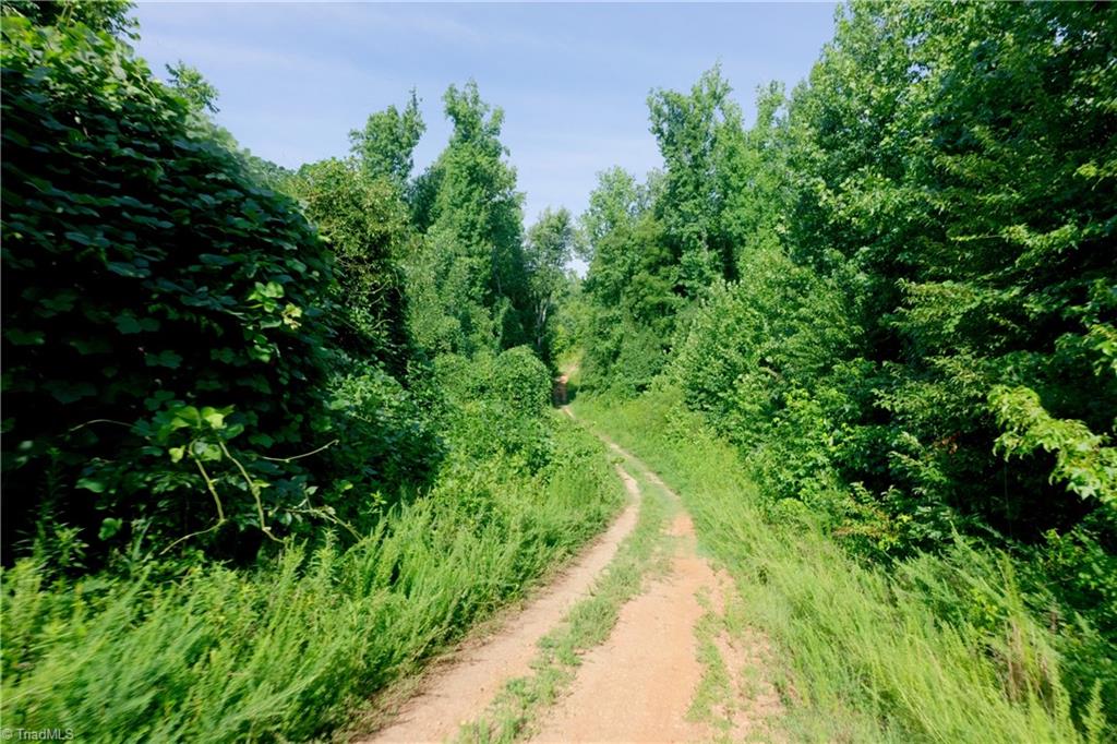 0 Todd Road Advance, NC 27006 - Photo 12 of 45