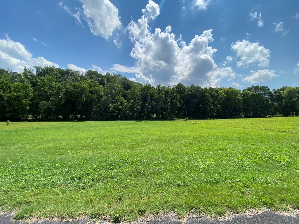 16 Buttercup Way Newport, TN 37821 - Photo 4 of 7