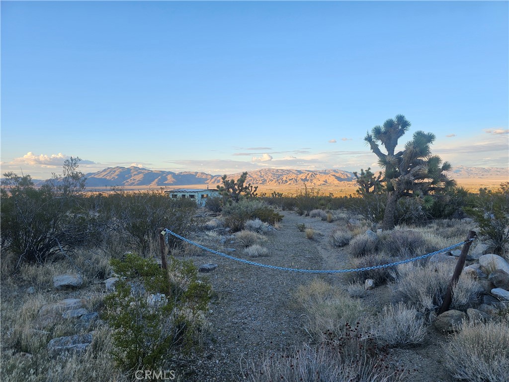 411 Powerline Road Lucerne Valley, CA 92356 - Photo 5 of 10 a view of a city with lush green forest