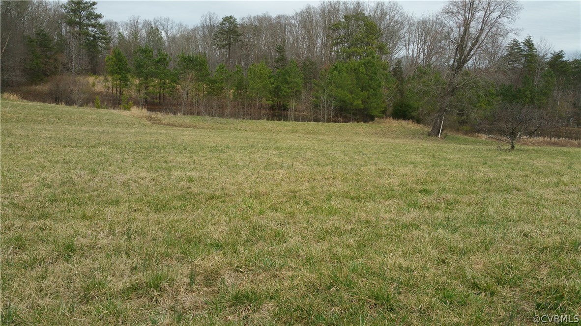 2133 Sizer Road Beaverdam, VA 23015 - Photo 3 of 6
