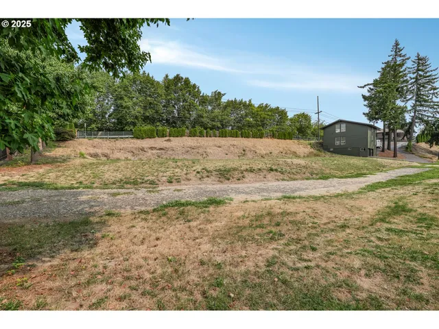 a view of a yard with a tree