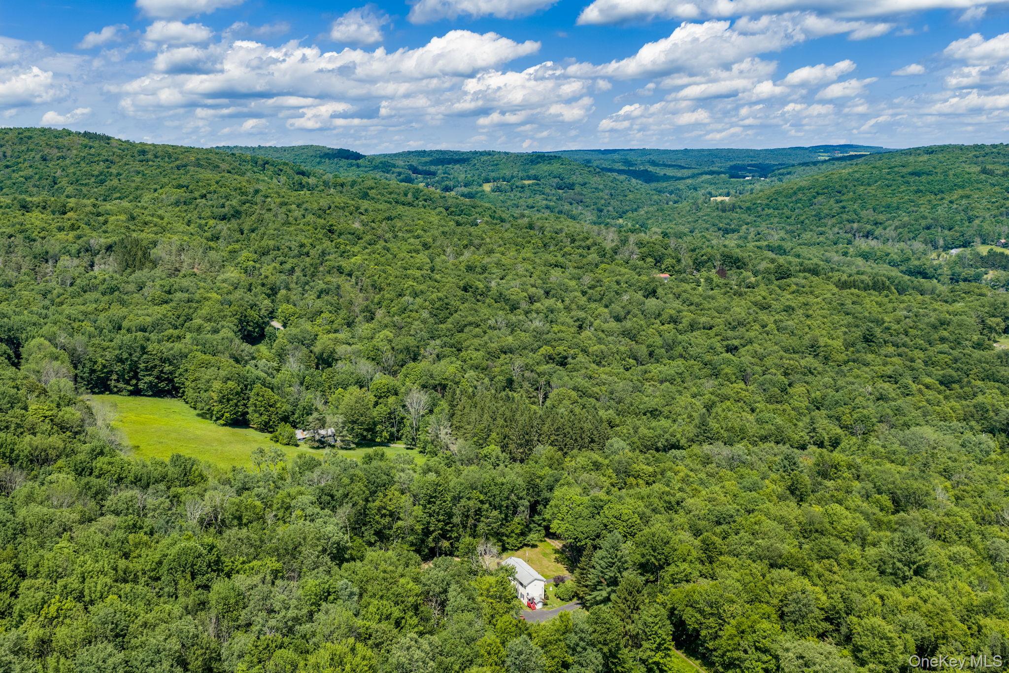 10 Hoffman Road Hankins, NY 12741 - Photo 39 of 46