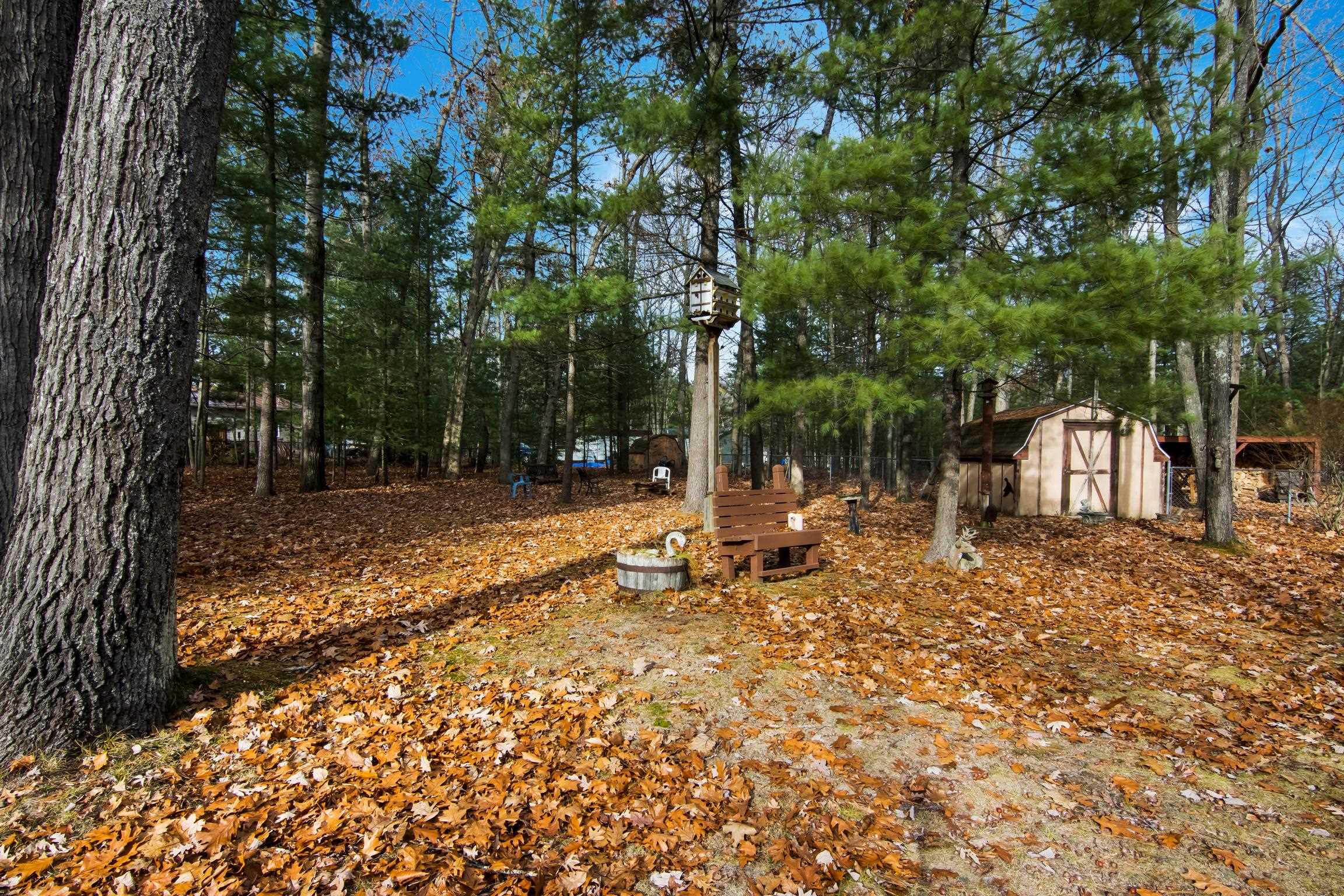 10174 Mud Lake Road Interlochen, MI 49643 - Photo 25 of 25