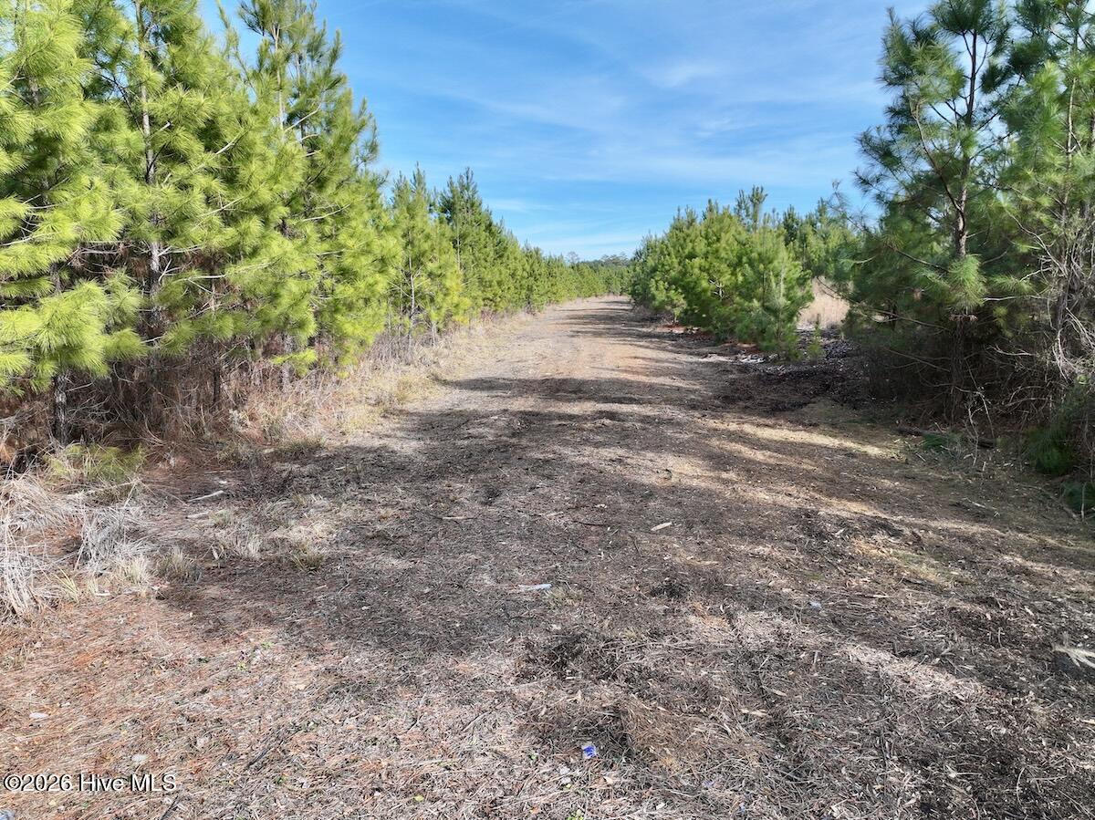 0 Old Washington Road Vanceboro, NC 28586 - Photo 20 of 34 20