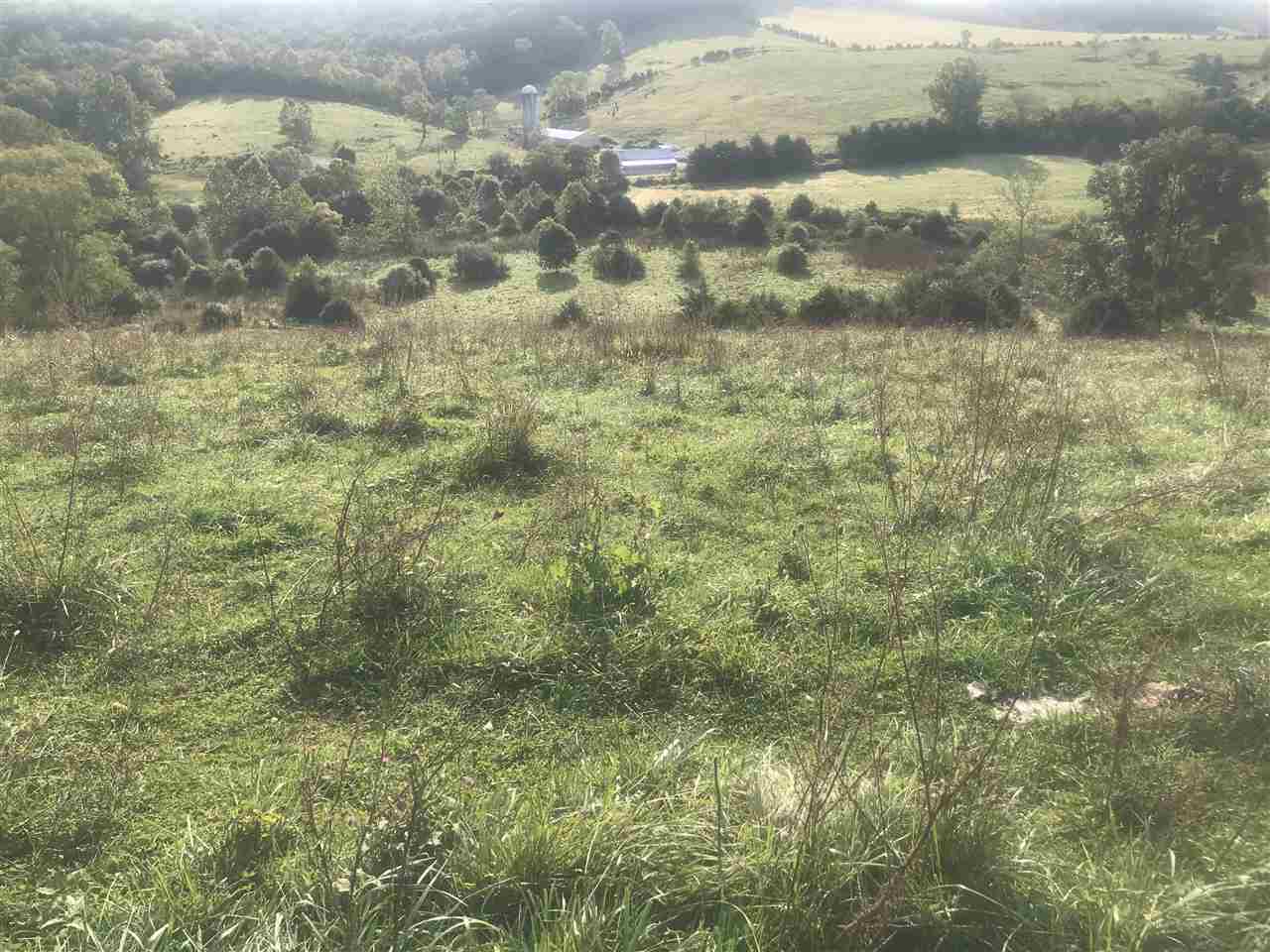 Tbd Otts Ml Road Raphine, VA 24472 - Photo 6 of 27 a view of a yard
