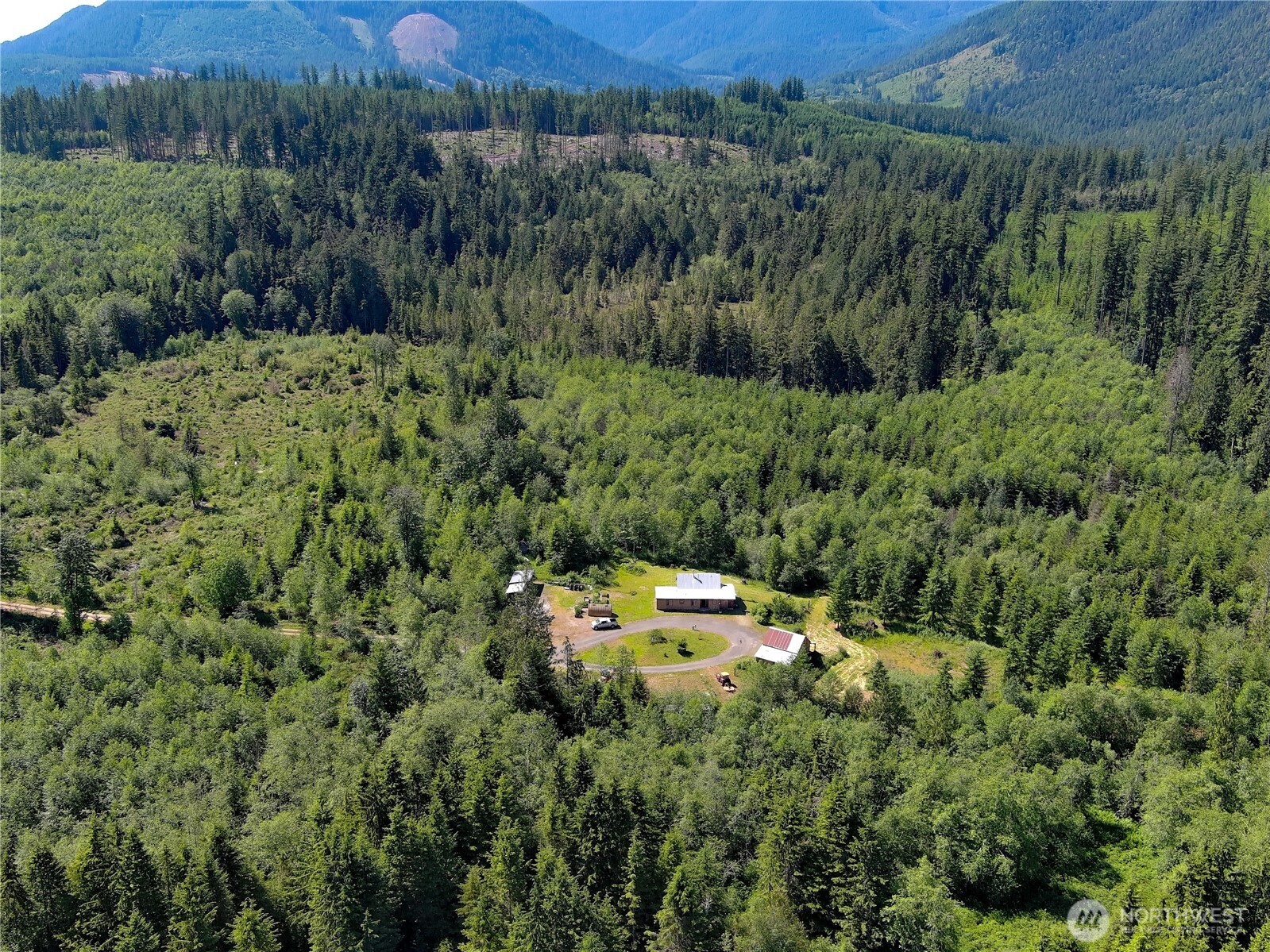 2904 Wildwood Road Quilcene, WA 98376 - Photo 18 of 39 a view of a forest with a street