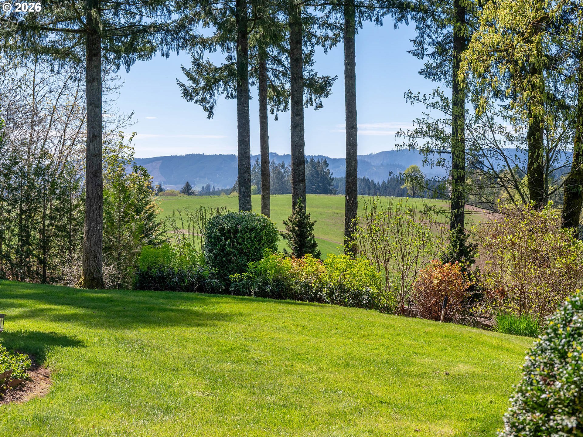 45045 Northwest Elk Mountain Road Banks, OR 97106 - Photo 3 of 48 a view of a garden with a tree