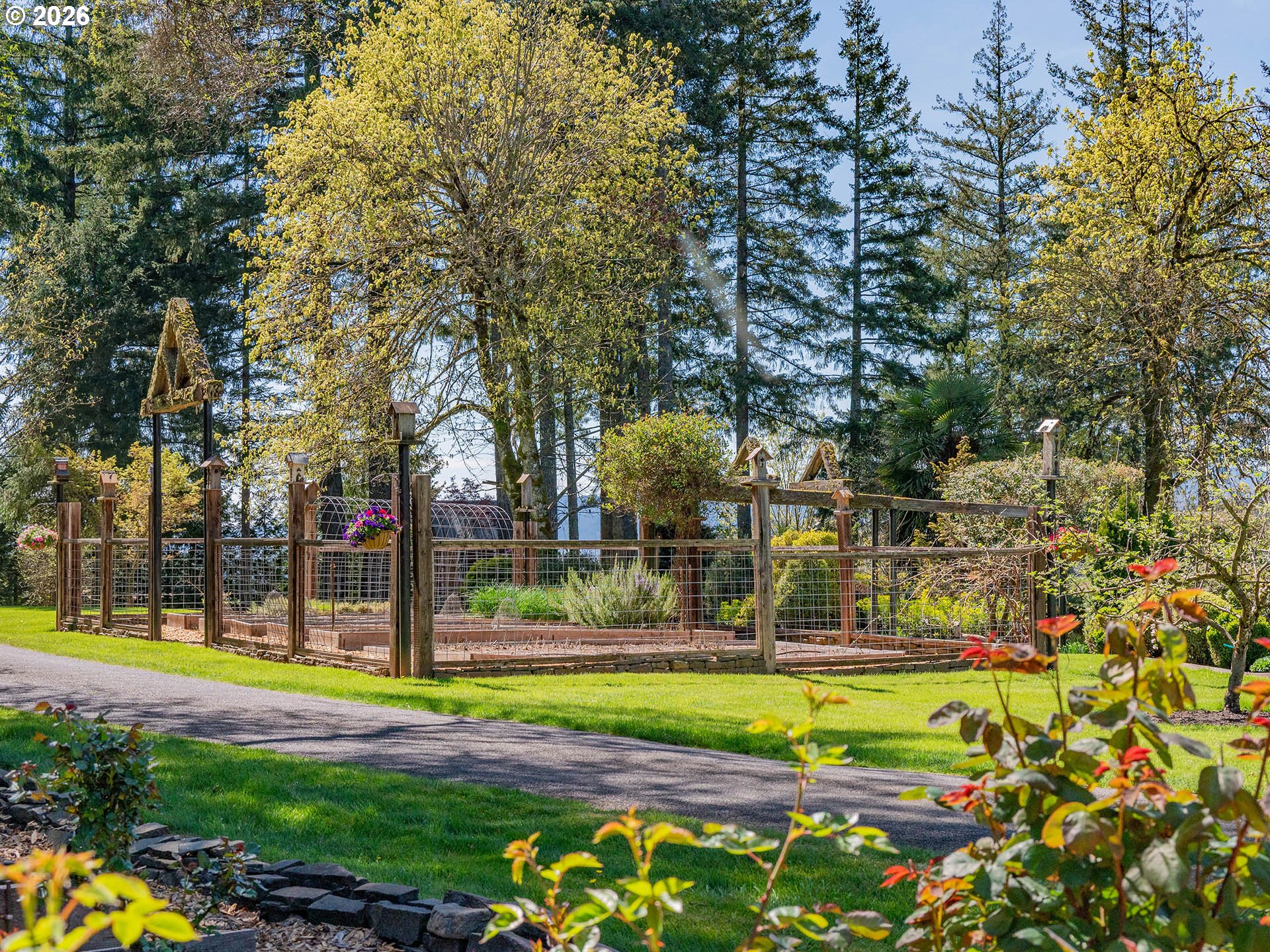 45045 Northwest Elk Mountain Road Banks, OR 97106 - Photo 31 of 48 a view of swimming pool with lawn chairs and large trees