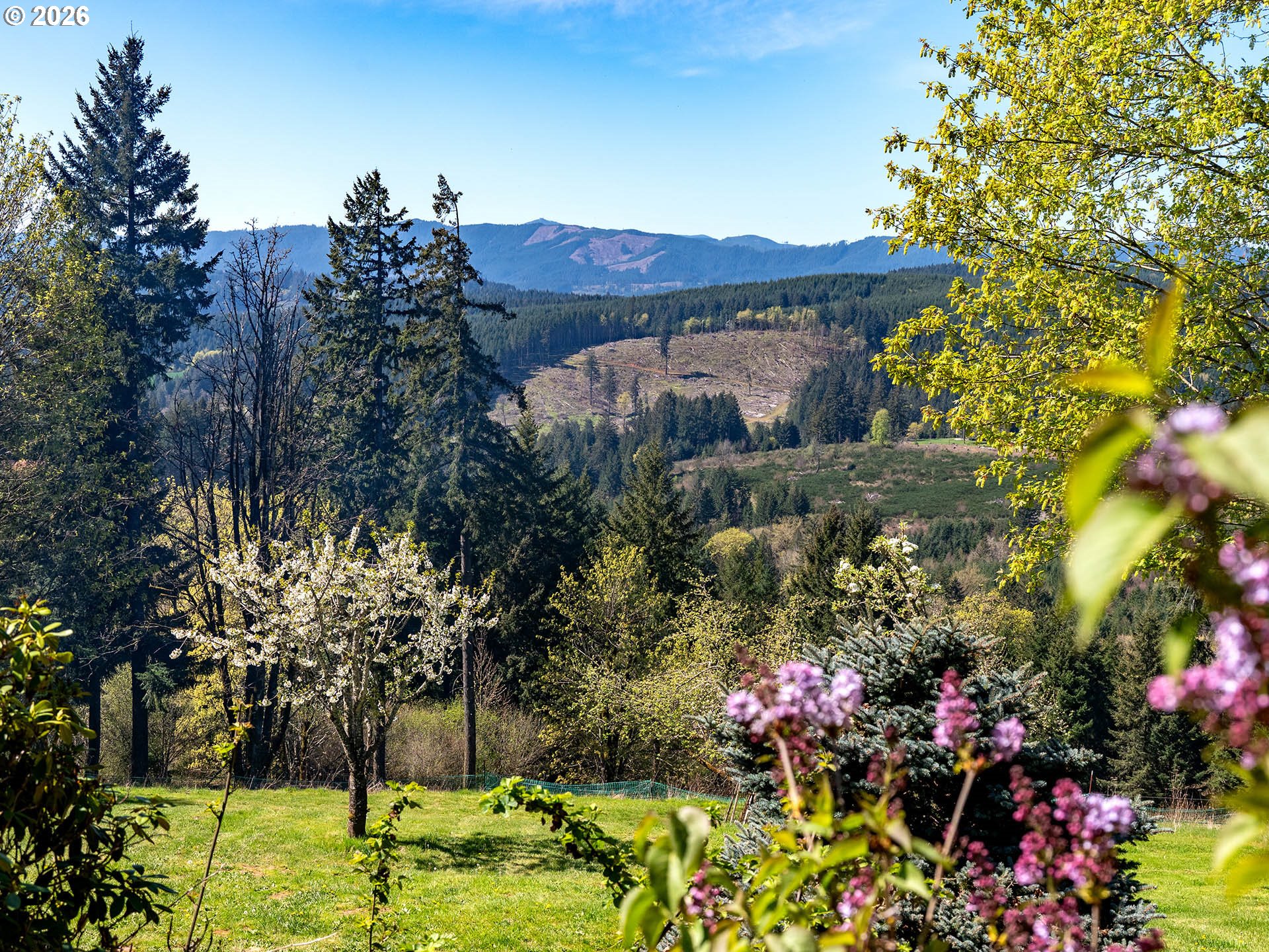 45045 Northwest Elk Mountain Road Banks, OR 97106 - Photo 34 of 48 a view of a garden with a fountain