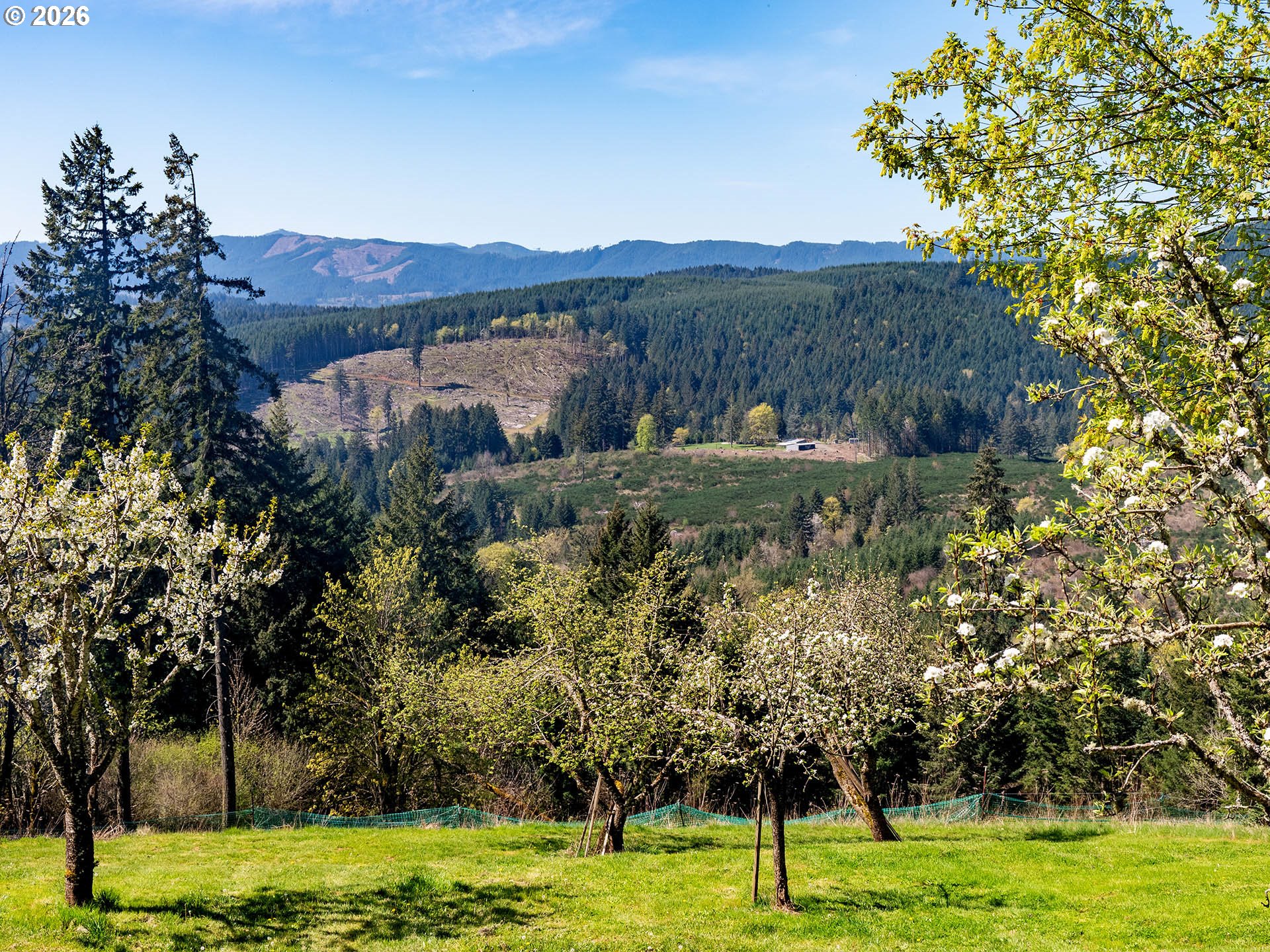 45045 Northwest Elk Mountain Road Banks, OR 97106 - Photo 4 of 48 a view of a garden with an ocean