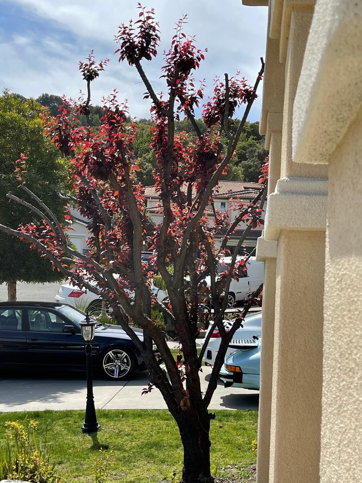 1013 Ridgeview Drive El Sobrante, CA 94803 - Photo 5 of 26