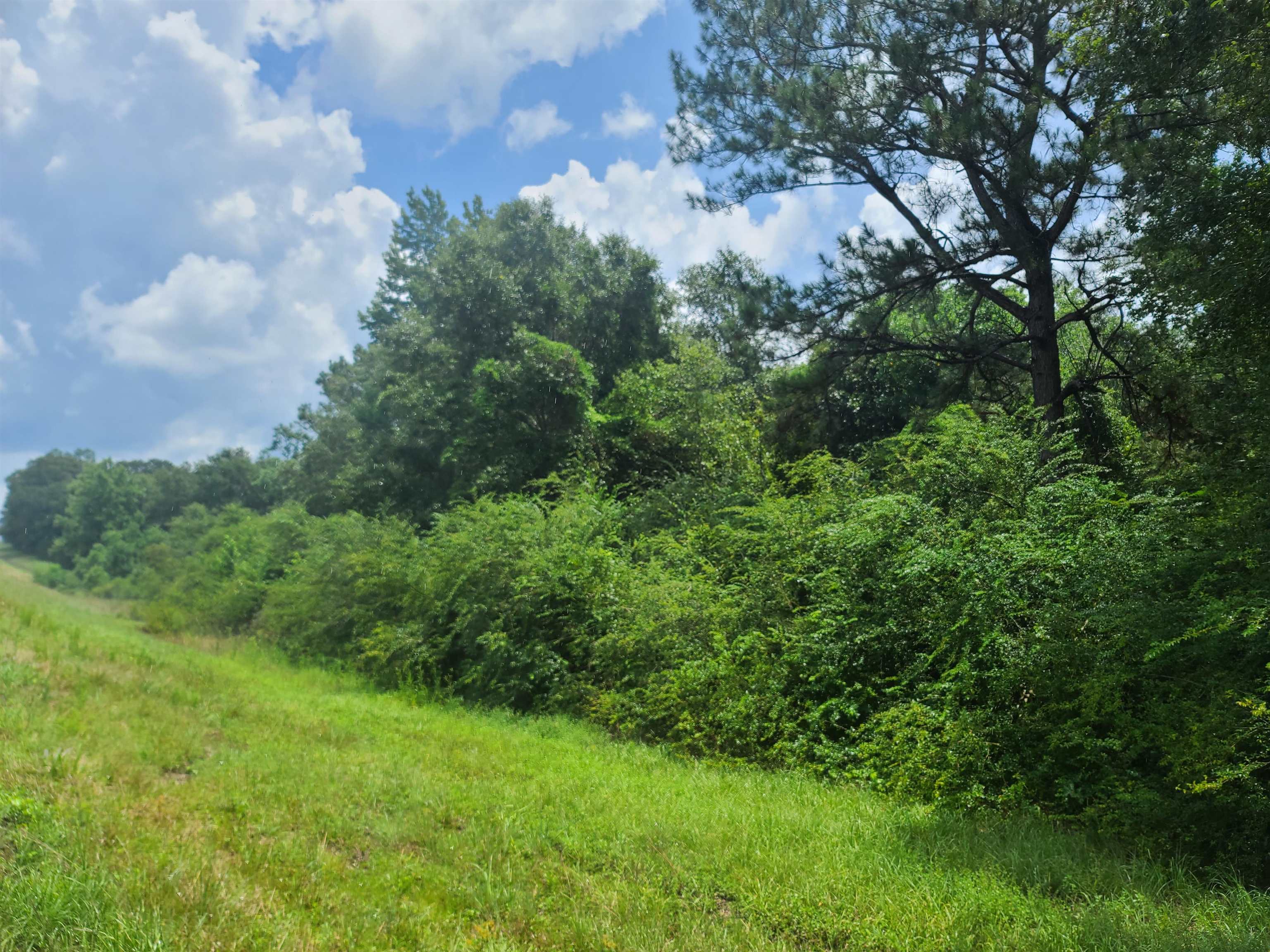 65 Southeast Interstate 65 Atmore, AL 36502 - Photo 5 of 6