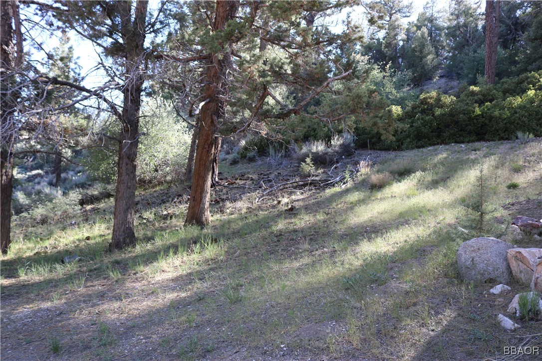21 Holcomb Valley Road Fawnskin, CA 92333 - Photo 19 of 24 Gentle slope next to the house makes a great sledding hill after a snow storm