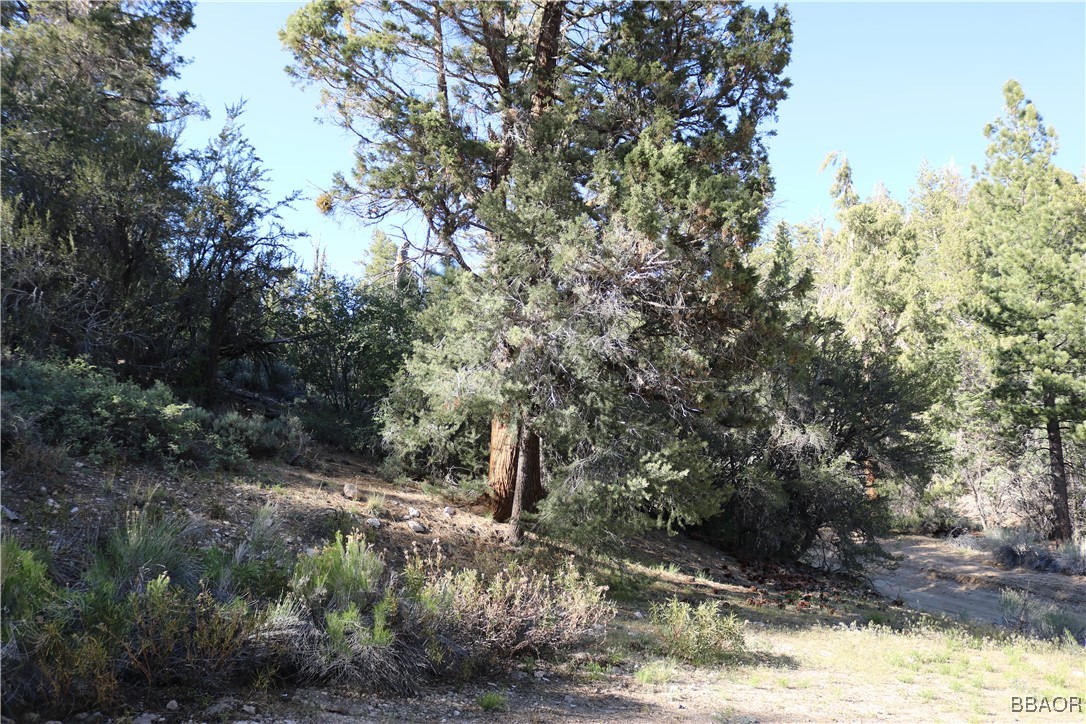 21 Holcomb Valley Road Fawnskin, CA 92333 - Photo 23 of 24 View looking west of the house