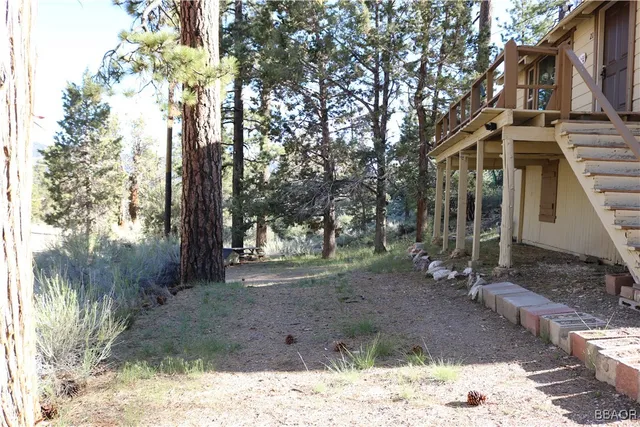 a view of a yard with trees