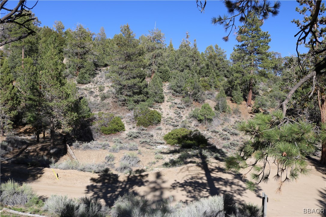 21 Holcomb Valley Road Fawnskin, CA 92333 - Photo 3 of 24 Across the dirt road from the cabin