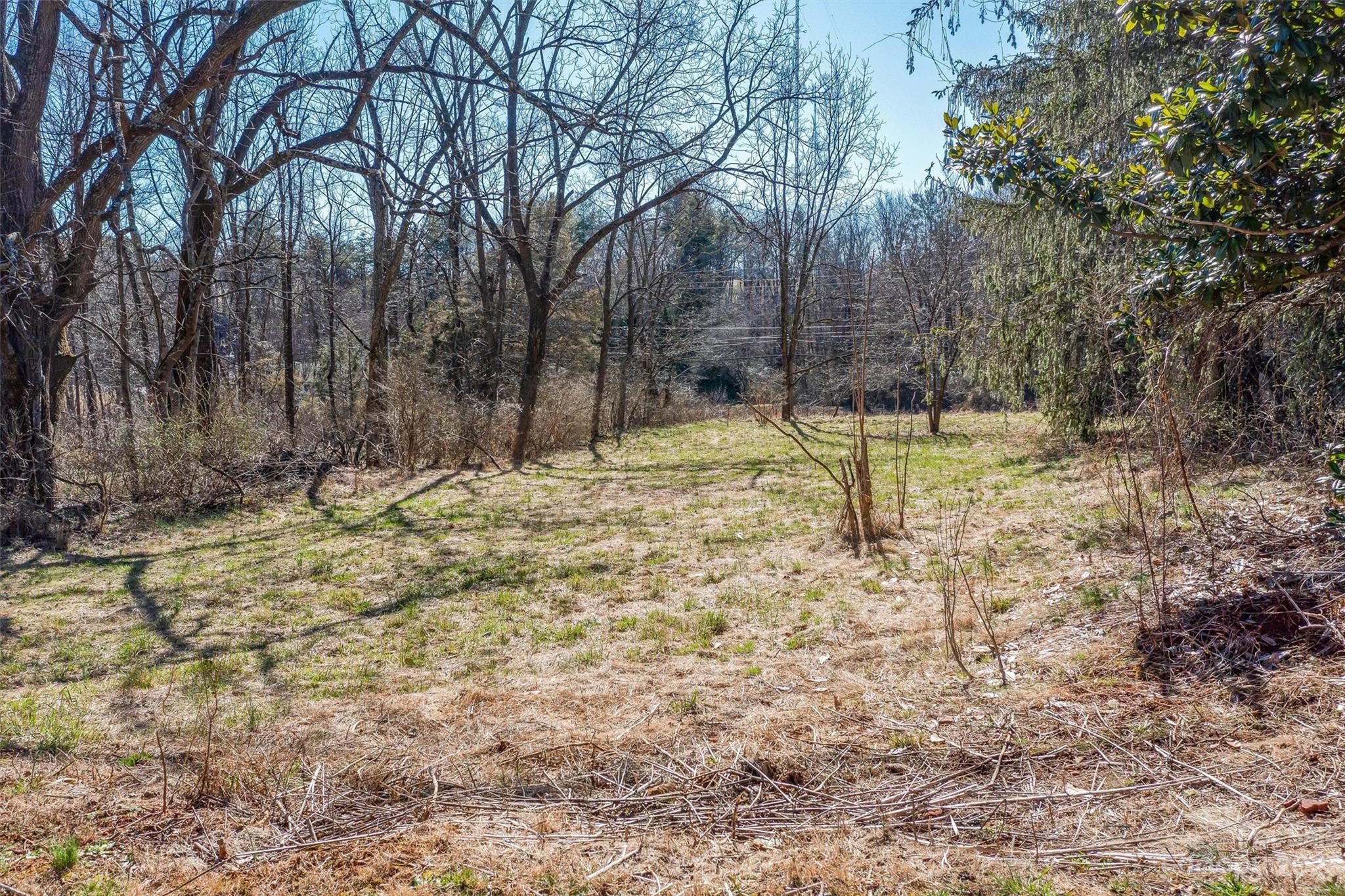815 Emma Road Asheville, NC 28806 - Photo 13 of 27 Gallery Image 13