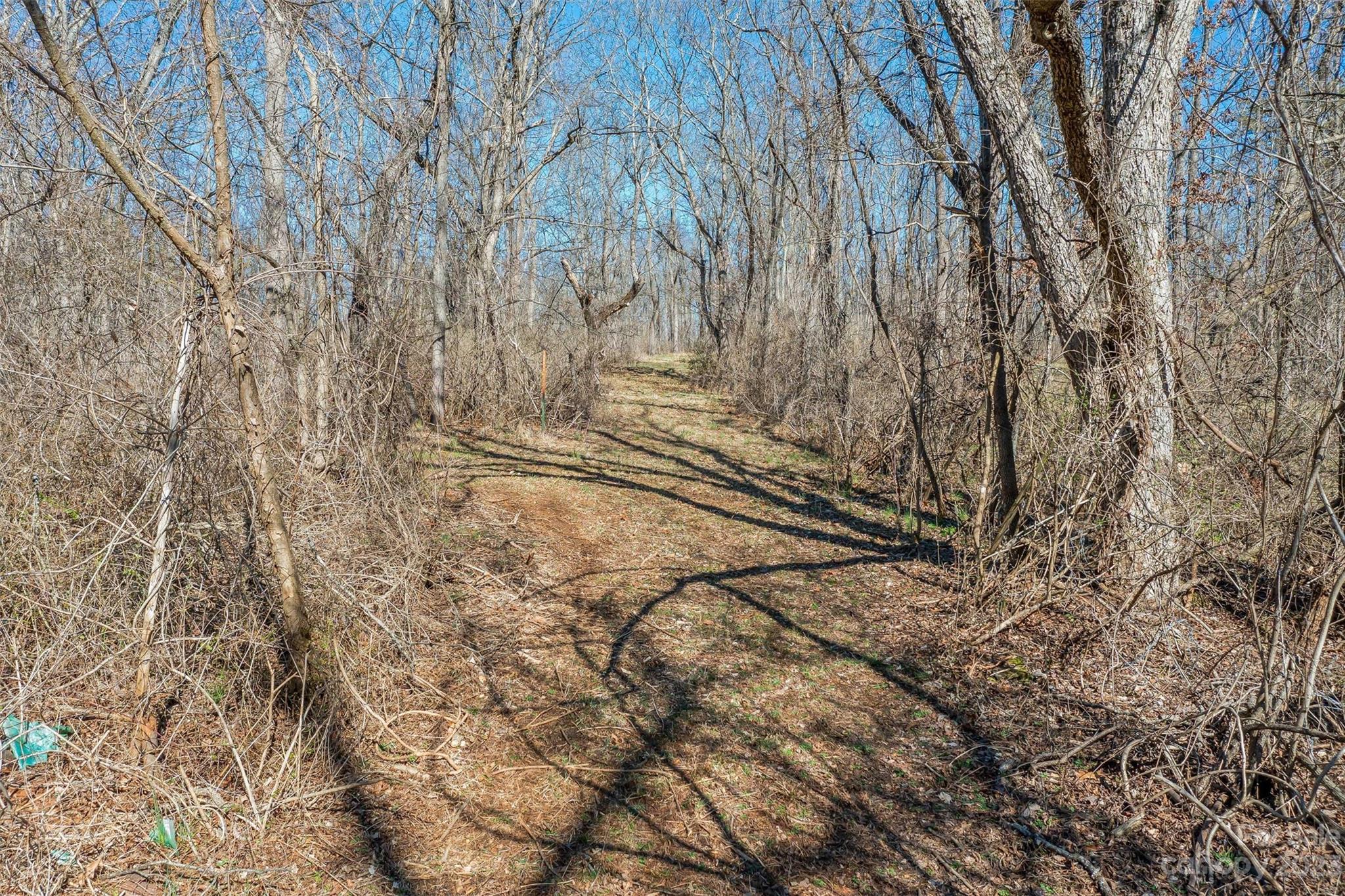 815 Emma Road Asheville, NC 28806 - Photo 5 of 27 Gallery Image 5