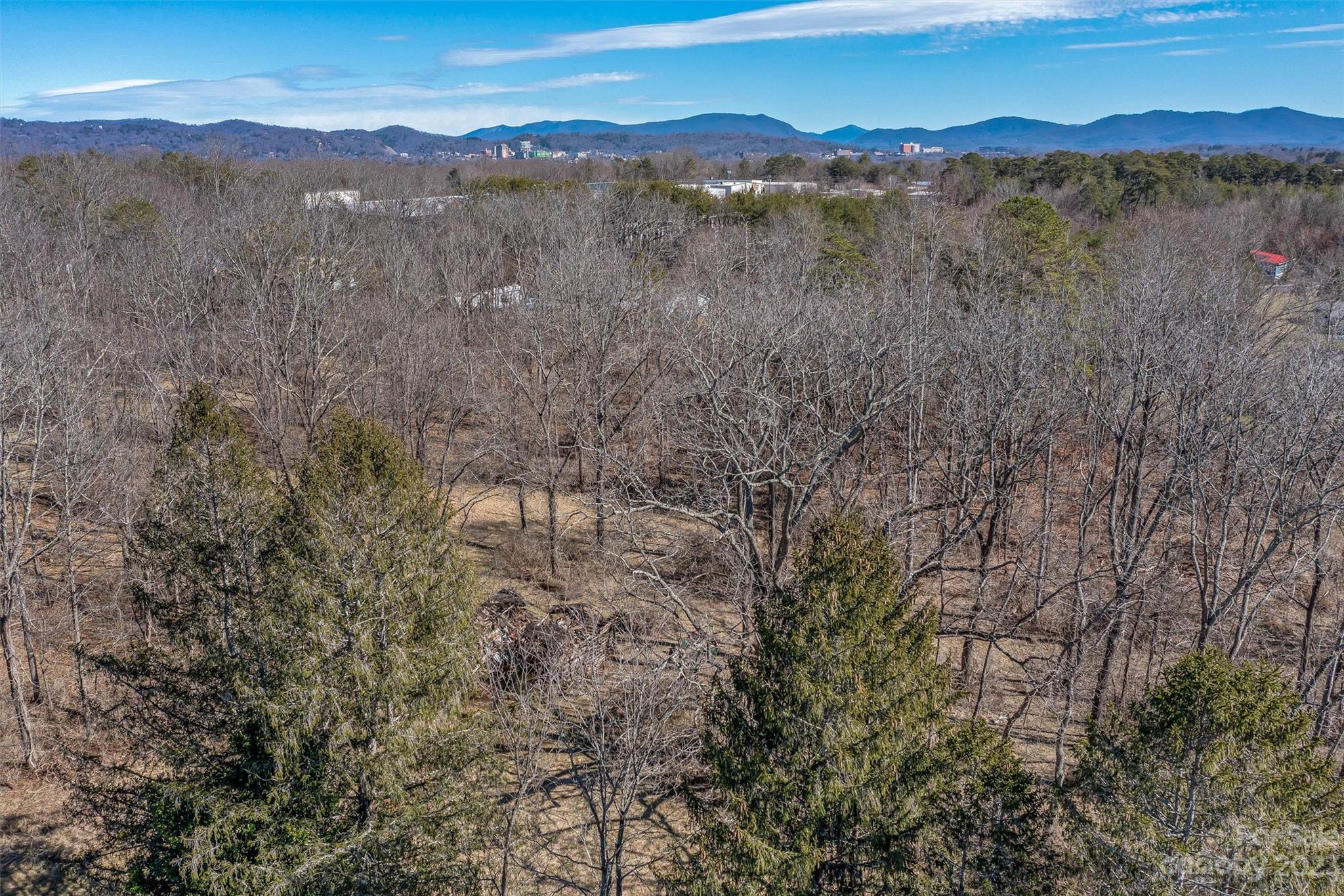 815 Emma Road Asheville, NC 28806 - Photo 6 of 27 Gallery Image 6