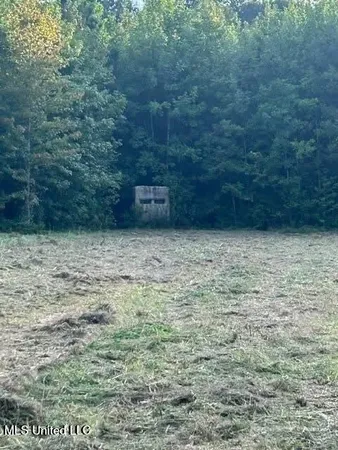 $175,000 | 0 Ms-16, Vaughan, MS 39179