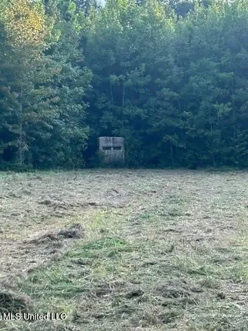 $175,000 | 0 Ms-16, Vaughan, MS 39179