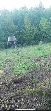 $175,000 | 0 Ms-16, Vaughan, MS 39179