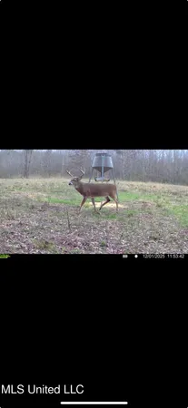 $175,000 | 0 Ms-16, Vaughan, MS 39179