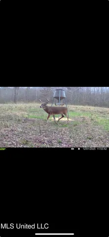 $175,000 | 0 Ms-16, Vaughan, MS 39179