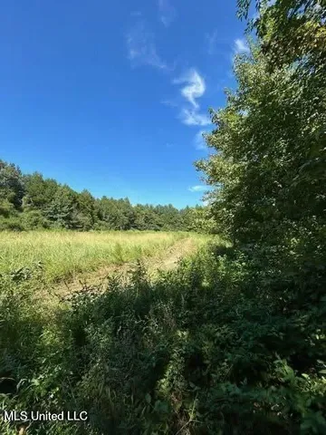 $175,000 | 0 Ms-16, Vaughan, MS 39179