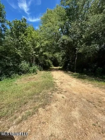 $175,000 | 0 Ms-16, Vaughan, MS 39179