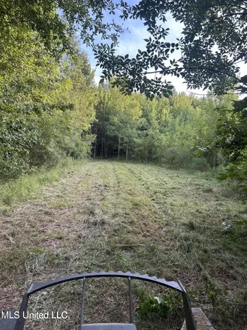 $175,000 | 0 Ms-16, Vaughan, MS 39179