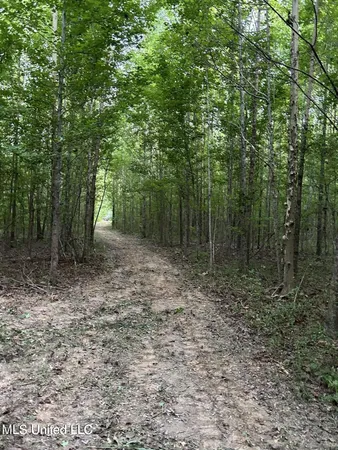 $175,000 | 0 Ms-16, Vaughan, MS 39179