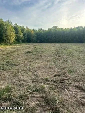 $175,000 | 0 Ms-16, Vaughan, MS 39179