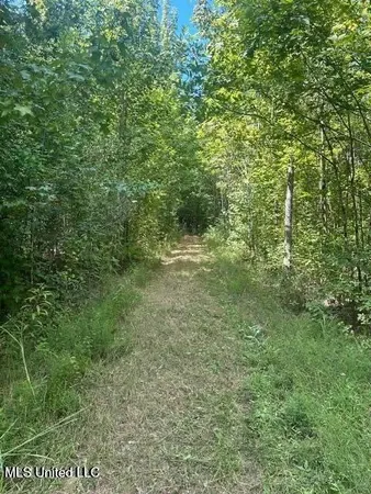 $175,000 | 0 Ms-16, Vaughan, MS 39179