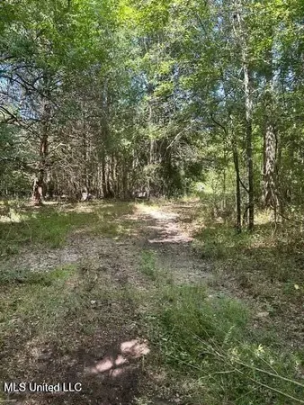 $175,000 | 0 Ms-16, Vaughan, MS 39179