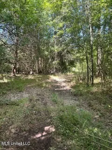 $175,000 | 0 Ms-16, Vaughan, MS 39179