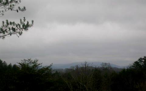 11 Old Loving Road Morganton, GA 30560 - Photo 1 of 1 Main View