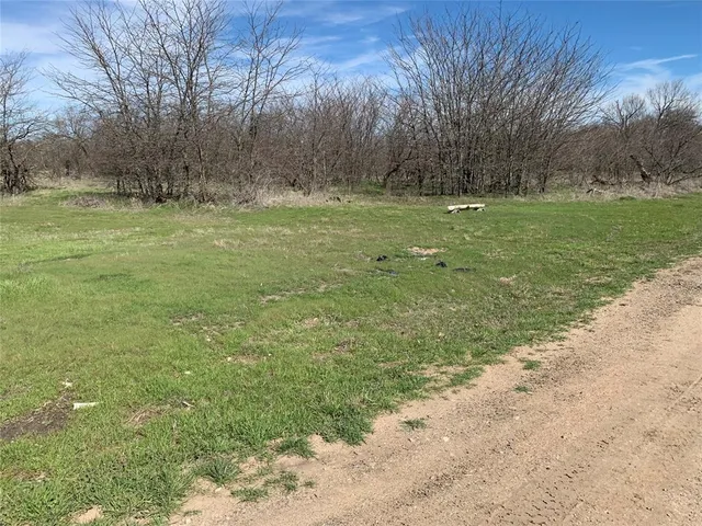 a big yard with lots of green space and trees