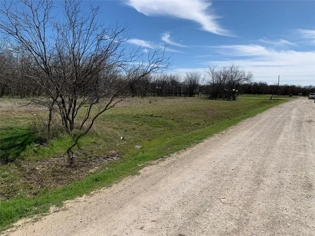 a view of grassy field with trees